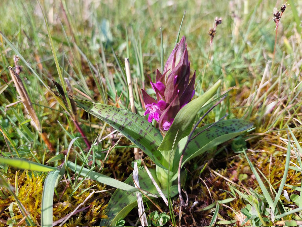 ecoloog079 tweet media