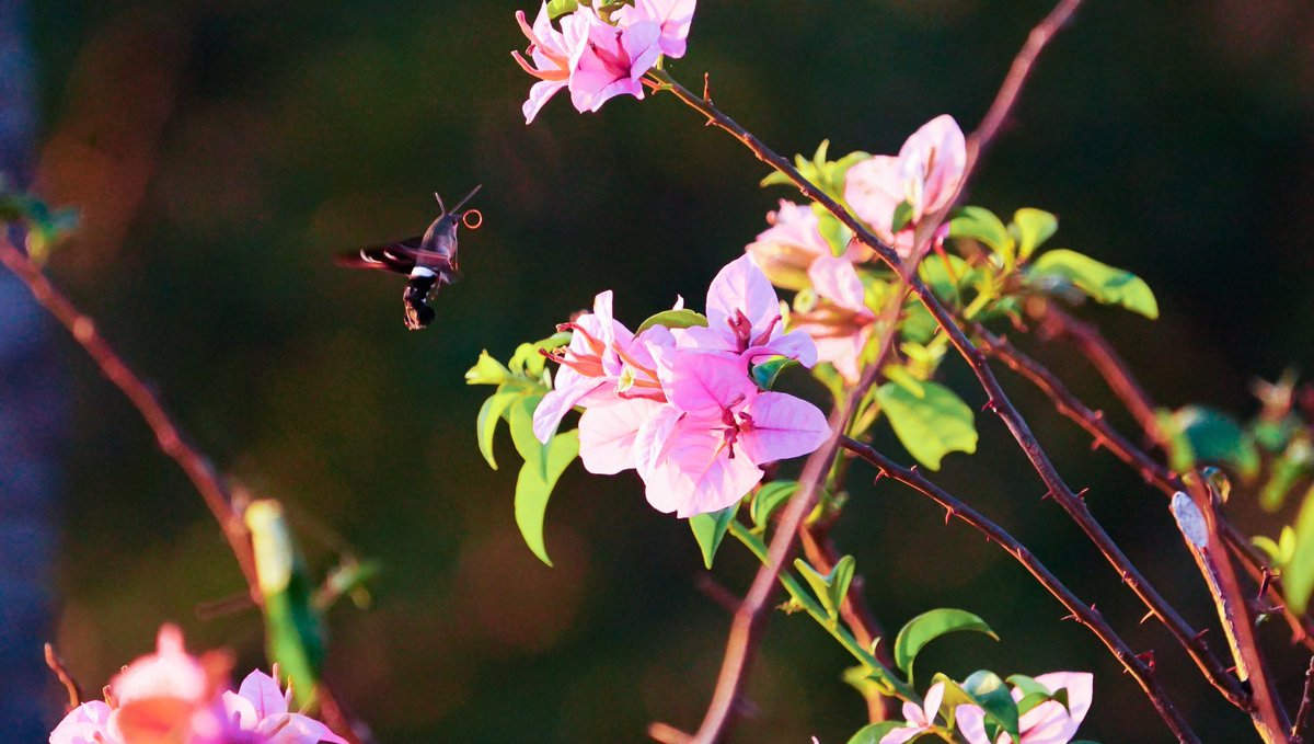 juanchï estä demasiaü tweet media