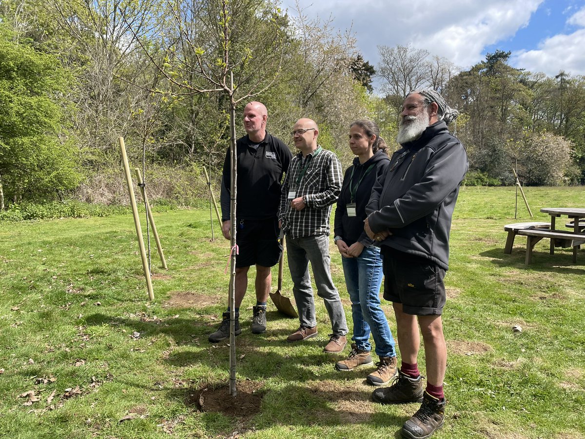 CCTJohn's tweet photo. And in goes our 12th apricot tree. Yes - apricots in Herts 😮!!! Here’s our #HighLeigh groundsmen Anthony &amp; Martin bookending Andy &amp; Regina from @ARochaUK in #partnership https://t.co/aL2p01b1kM