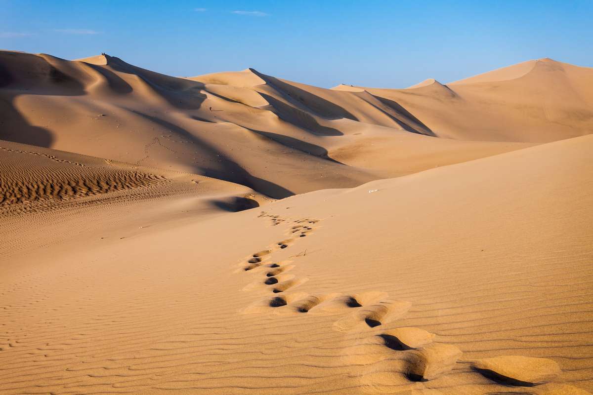 RondreisPeru's tweet photo. Ontdek het magische land van de Inca's! Reis door adembenemende landschappen, ontdek de fascinerende geschiedenis en cultuur en maak kennis met de vriendelijke bevolking. 

https://t.co/xrn4vDqVwT

#RondreisPeru #Peru #MachuPicchu #Titicacameer #ColcaCanyon #Nascalijnen https://t.co/NJVn6LWpcI