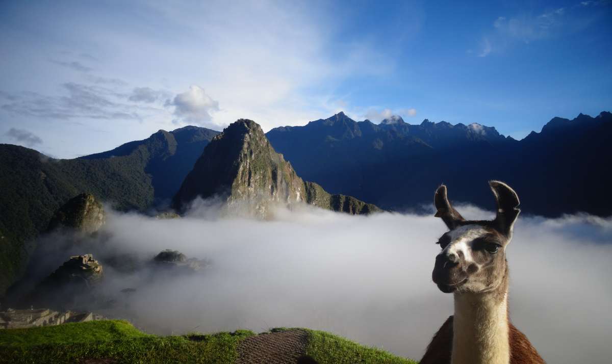 RondreisPeru's tweet photo. Ontdek het magische land van de Inca's! Reis door adembenemende landschappen, ontdek de fascinerende geschiedenis en cultuur en maak kennis met de vriendelijke bevolking. 

https://t.co/xrn4vDqVwT

#RondreisPeru #Peru #MachuPicchu #Titicacameer #ColcaCanyon #Nascalijnen https://t.co/NJVn6LWpcI