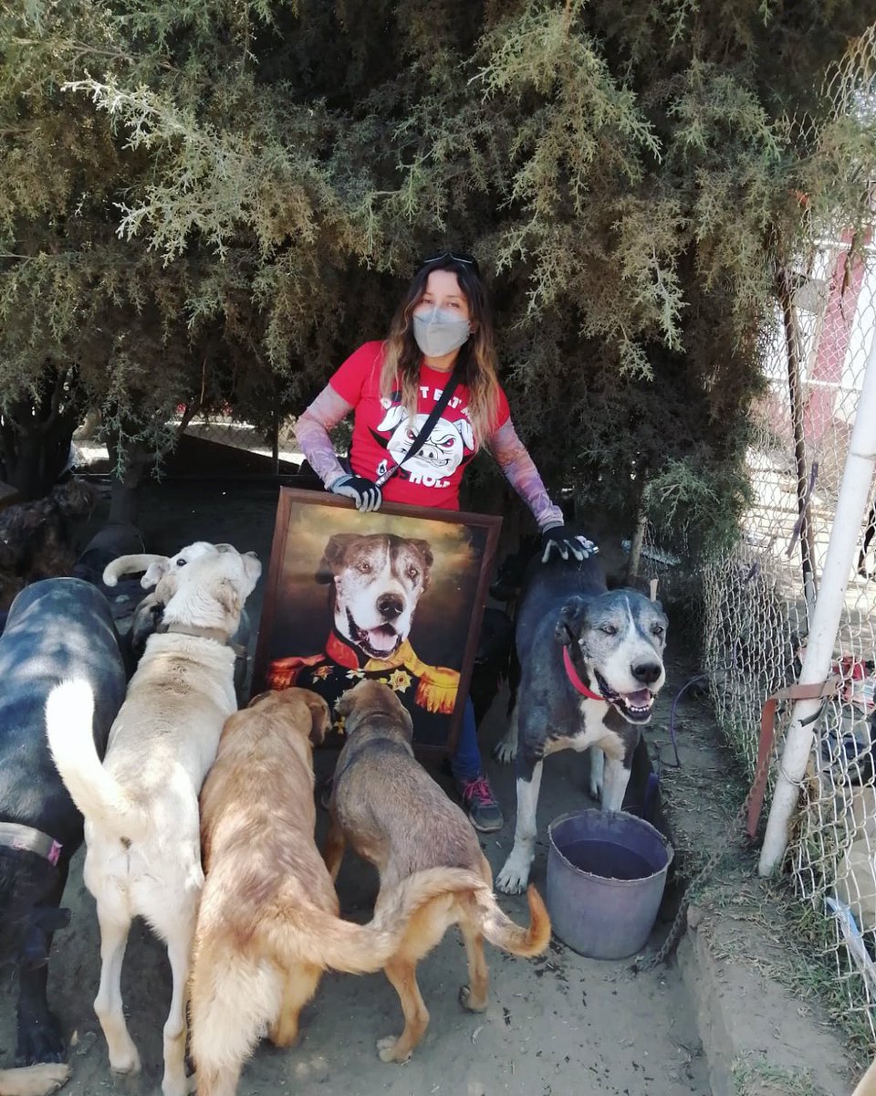 Hola amigos! Buenos días!
Ando vendiendo estos cuadros, por pedido especial y  son para cubrir una operación de un perrito que amo con todo mi corazón y que tiene unos tumores que urge quitarlos. 
Los entrego a domicilio.
Whapp al 5531483127
Mil gracias! 
Porfa ayúdenme con RT