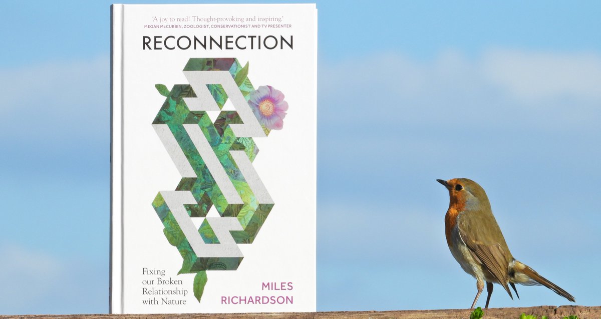 "Nature is on the sidelines – quite literally at times, in the cracks beneath the billboards. Nature does not have a marketing budget. Nature has no new styles; this year’s robin is the same as the previous years."