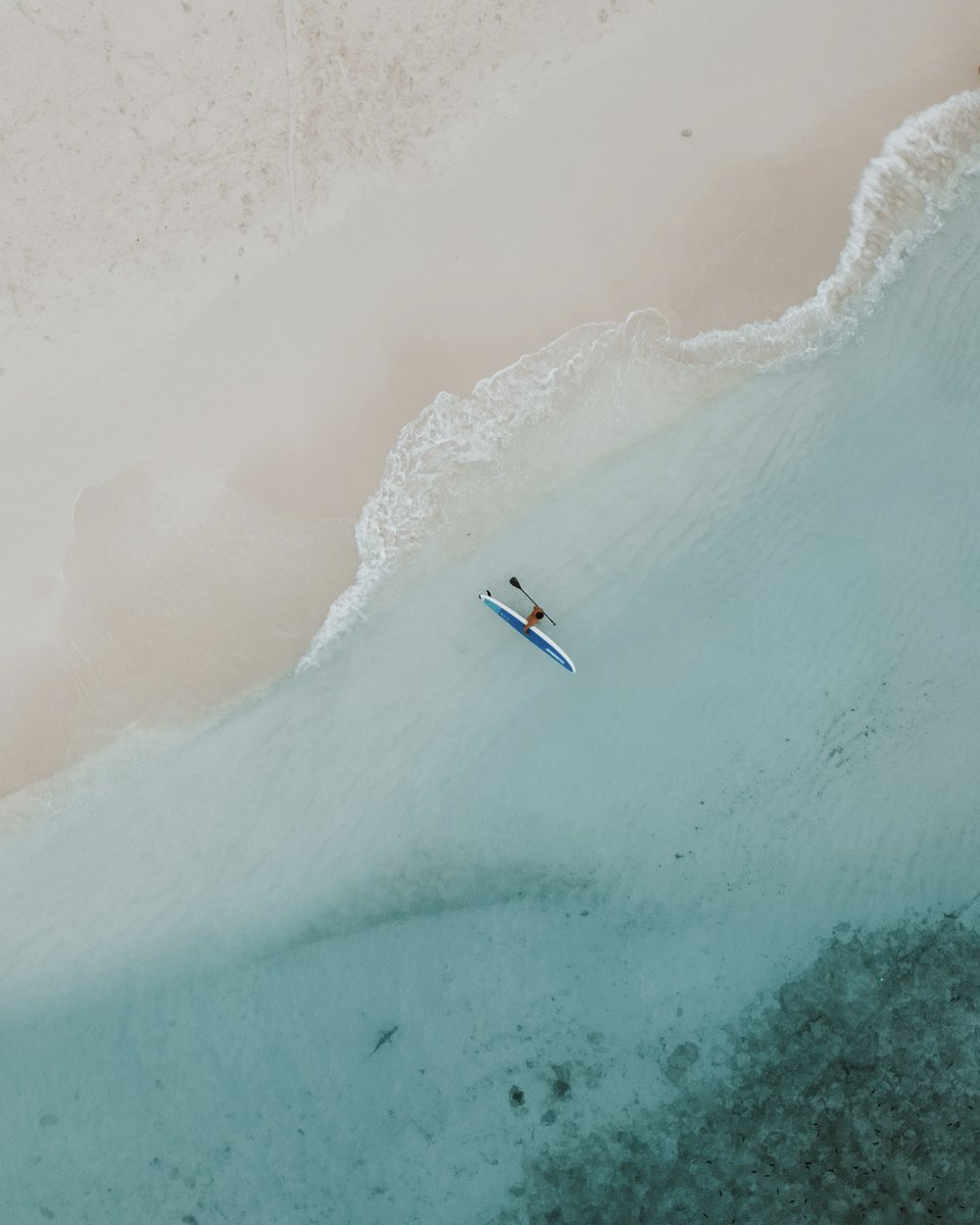 nhreethi's tweet photo. Paddle out into mirror like waters, discover all shades of blue and the magical marine life underneath.

Rent a Stand-Up Paddle with our Ocean Fanatics Water sports Team and discover the island from another perspective.

#Maldives #StandUpPaddle #Watersports #SUP #VisitMaldives https://t.co/aas7IsgXXM