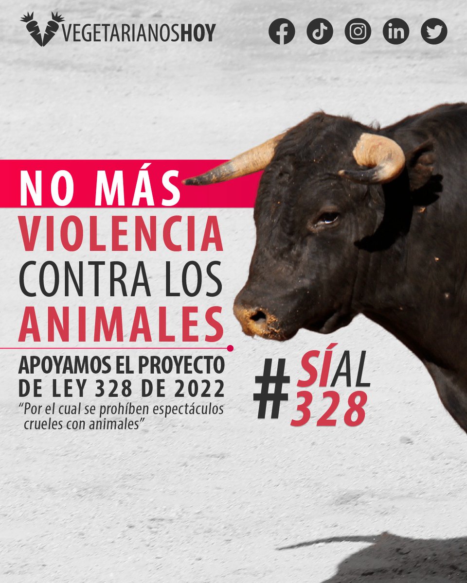FundacionVeg's tweet photo. Hoy es el tercer debate del Proyecto de Ley 328 que busca ✊🏽 la PROHIBICIÓN DE LAS CORRIDAS DE TOROS Y CORRALEJAS EN COLOMBIA 🇨🇴
Invitamos a la comisión V @CamaraColombia a hacer historia por los animales💪🏼
#SiAl328 #SIal328 #SéLaVozDelToro #CorridasdeToros #ProyectodeLey https://t.co/GFxe0lUkIz