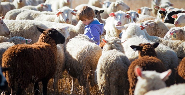 Our latest newsletter features Jacqueline Smith of @CentralGrazing. Central Grazing’s mission is to regenerate grassland by producing food that benefits the planet, in addition to creating economic value for independent, regional farmers.

Check it out! 

conta.cc/3ULPQEh