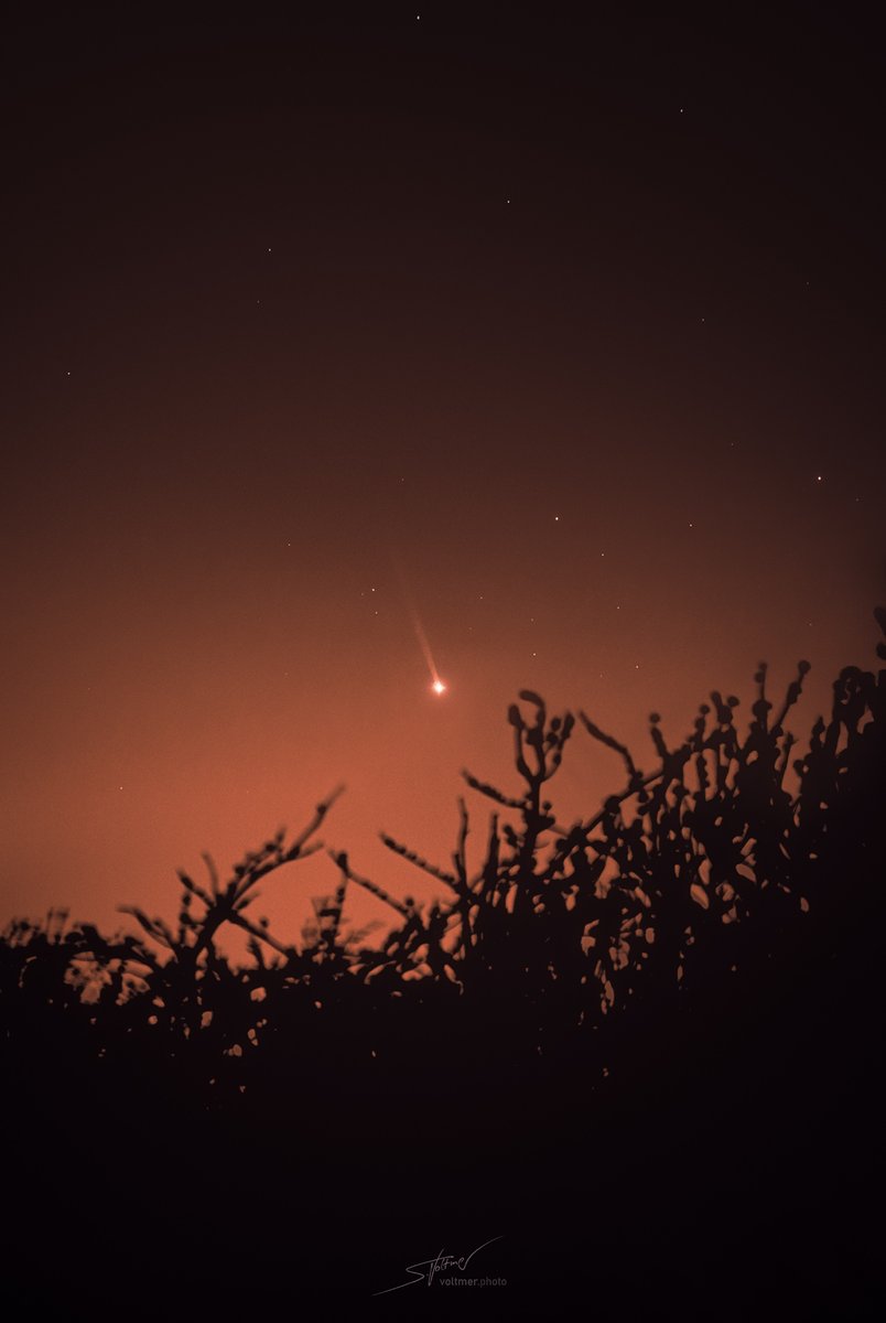 #PPOD: This is NOT a comet but the planet Mercury, which is currently visible just after sunset. The solar wind and micro-meteorites eject sodium atoms from Mercury’s surface, creating a yellow-orange tail of sodium gas that is around 24 million km long. Credit: <a href="/SeVoSpace/">Dr. Sebastian Voltmer</a>