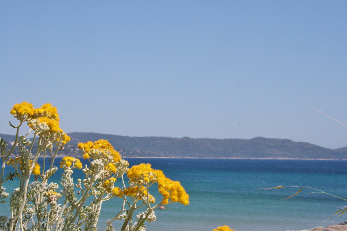 En mai, fais ce qu'il te plait ! 😍

Et vous ? Qu'aimez-vous faire quand vous êtes à Cavalaire ? 🧡

&amp; pour tout savoir: 
cavalairesurmer.fr

<a href="/GolfeStTropez/">Golfe Saint-Tropez</a> <a href="/ilgsainttropez/">Saint-Tropez, Golfe de St-Tropez & Plus ...</a> @VisitVar <a href="/Explore_FR/">Explore France</a> <a href="/otfofficiel_/">Offices de Tourisme de France</a> <a href="/MaRegionSud/">Région Sud</a> <a href="/EVENTS_PACA/">EVENTS PACA - Région Sud ✨</a> #mai #destinationsud