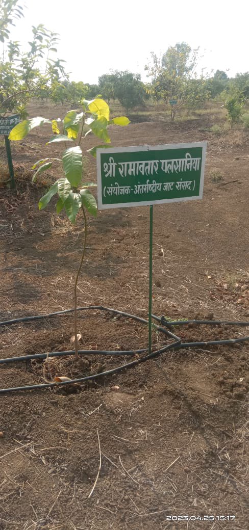 R_Palsaniya's tweet image. छत्तीसगढ़ में प्रकृति को बचाने की मुहिम का हिस्सा बनकर एक पेड़🪴लगाया व पेड़ लगाने की मुहिम को ताक़त देने का प्रयास किया। आप सभी से निवेदन है आप भी भविष्य के लिए पेड़ लगाकर प्रकृति को मज़बूत करें।
#RamavatarPalsaniya #PsKalwaniya
#InternationalJatParliament