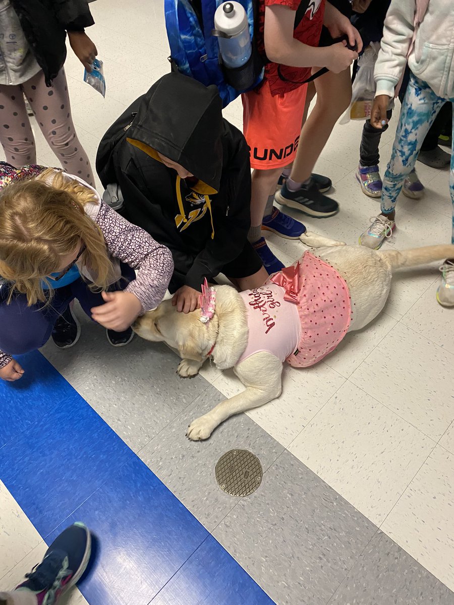 North_Tweets's tweet image. 🎉Happy 2nd Birthday, Gravity! 🎉🥳
What a great way to celebrate! #Proud2BNorthies 
#JCSchoolsChampions #WeAreElementary