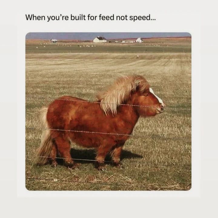 basenjimomcom's tweet image. RT @srslyhomecooked: 😂😂.

Visit seriouslyhomecooked.com to order a meal today

#MealKitDelivery #FreshFoodDelivery #HealthyEats #HomeCooking #Foodie #HealthyLiving #FoodDelivery #HealthyOptions #ConvenientEats #MealPrep #HealthyHabits #HealthyChoice…