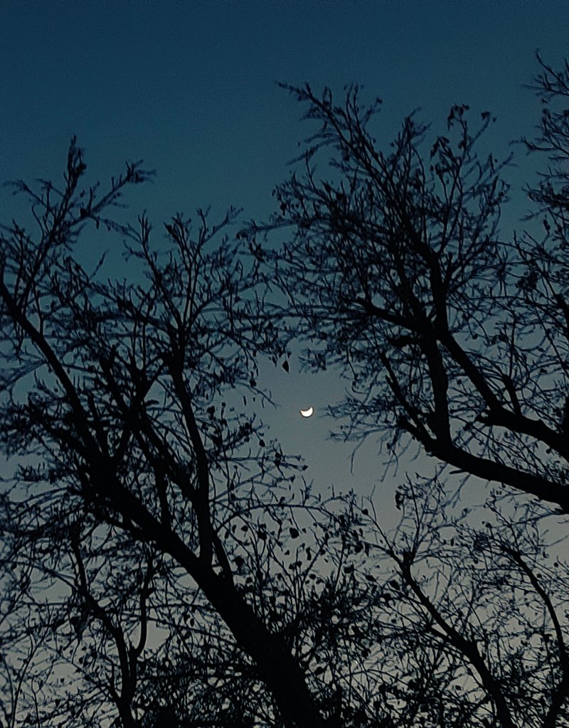 larubbama al qamar laysa jameelan illa liannahu baaeed. 

'Maybe the Moon isn’t beautiful but maybe only distant.'