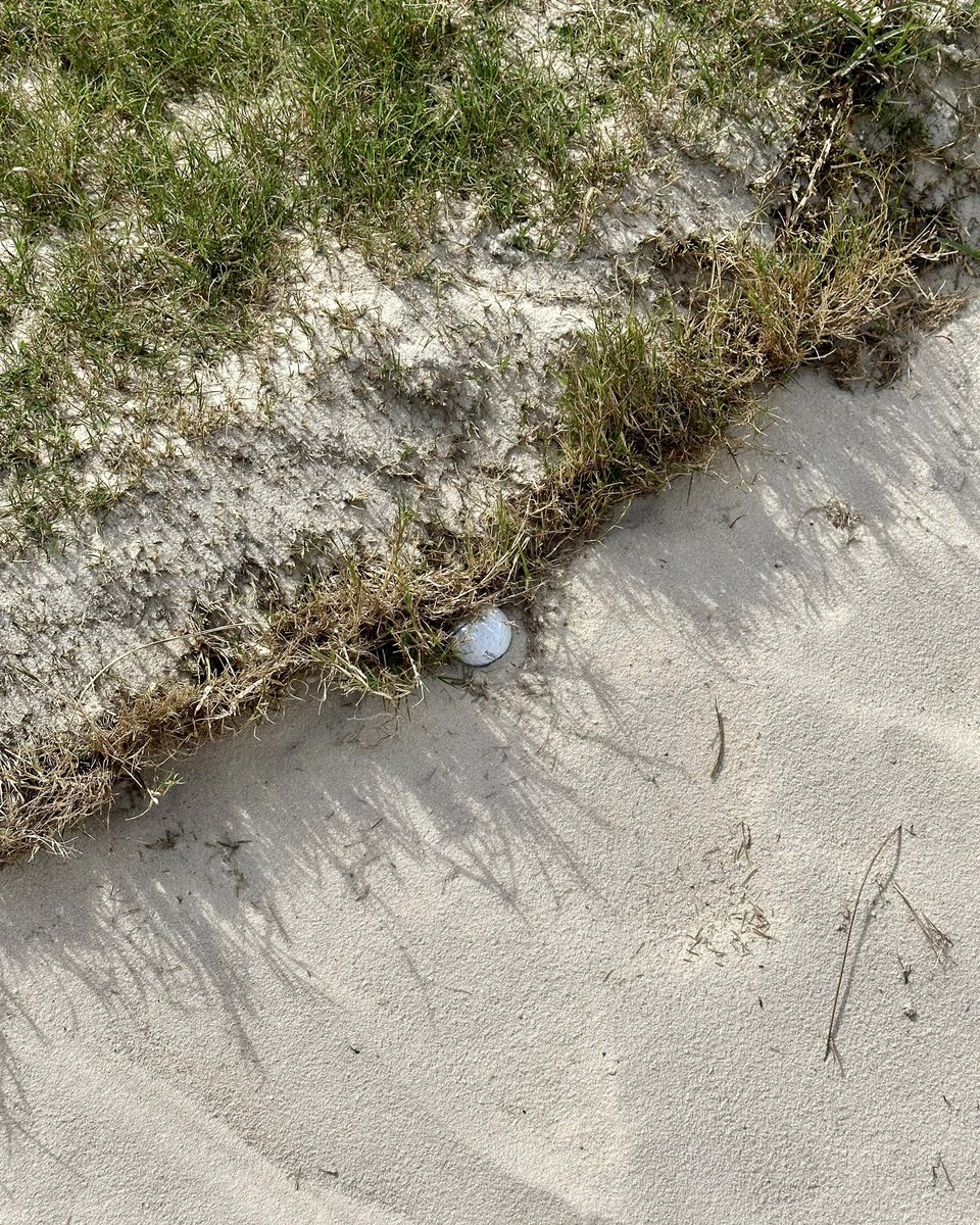 Caddie Network tweet media