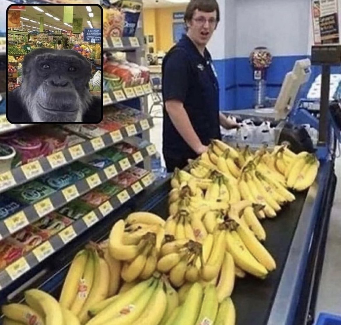 gorgonzolapack's tweet photo. Monke https://t.co/vhgVrUQENx