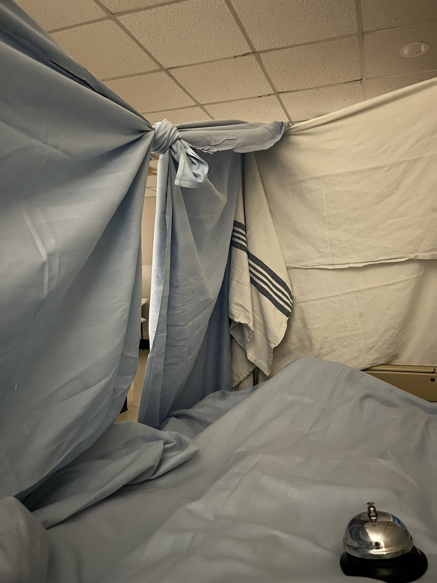 Carla Beck tweet media