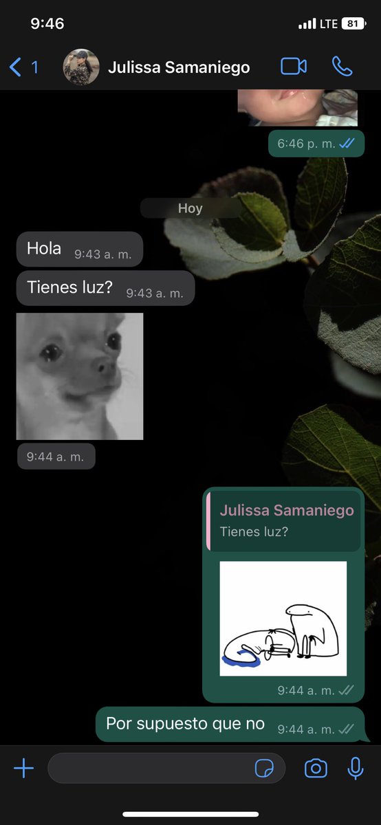 EmilyBa1010's tweet photo. Así son prácticamente mis conversaciones con July @julibsam por lo menos como unas tres veces al mes 😤😤😤 https://t.co/qnWjQtKOhY