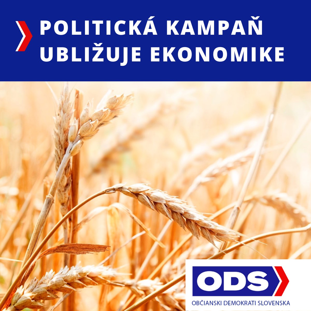 PaloMacko's tweet photo. Robme kampaň rozumne a v prospech občanov. Strach a demagógiu používajú hlavne populisti a extrémisti. https://t.co/vLFUqzQYpH