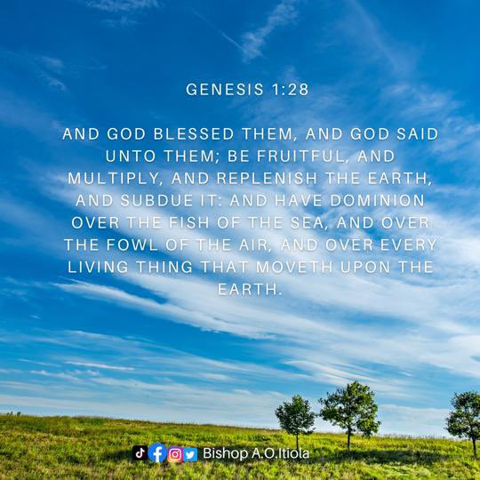 BishopAOItiola's tweet photo. God has blessed humanity from creation.  We are bound to be fruitful, dominate, replenish our world and completely subdue it. That is His ultimate plan for you and your destiny! https://t.co/IBOxSldX9C