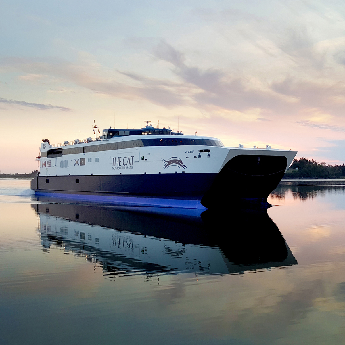 VERB Interactive tweet media