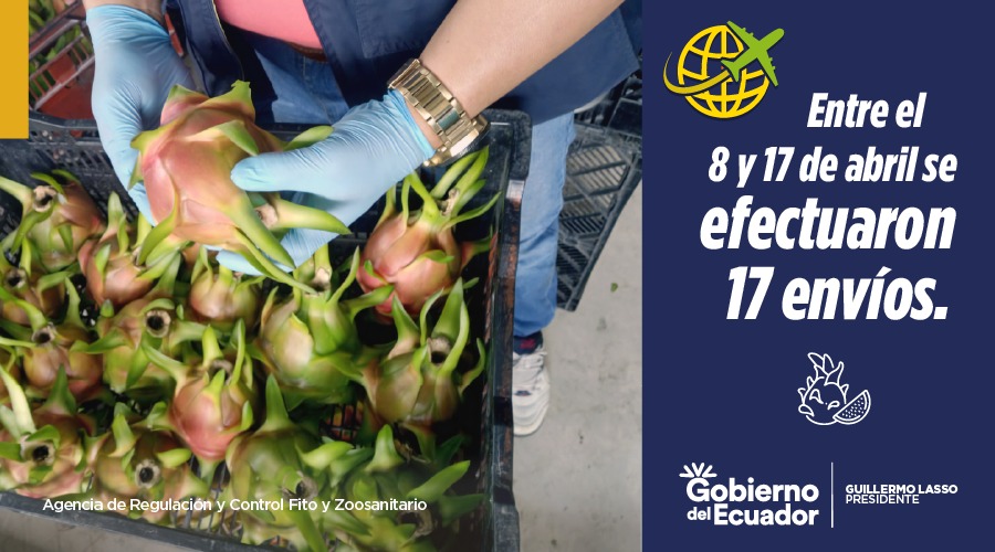 AgrocalidadEC's tweet photo. ¡Trabajamos para tener #MásEcuadorEnElMundo!

Más cargamentos de pitahaya  ecuatoriana llegan a China 🇨🇳 y se expenden con gran aceptación en mercados y perchas de ese país. https://t.co/2UxqVubDND