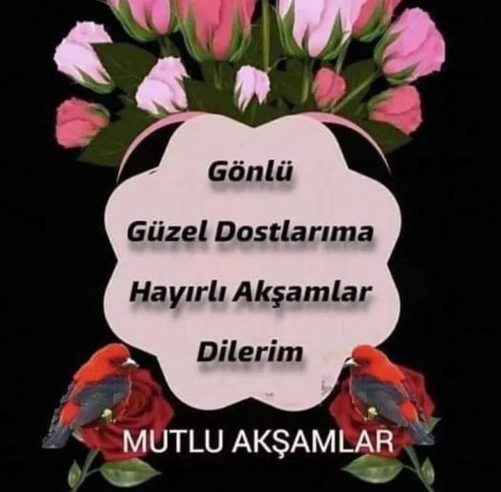 EMR43746000's tweet photo. Allah'ın Rahmeti Mağfireti ve Bereketi üzerinize olsun İyi Akşamlar Canlar☺🙋‍♂️🙏 https://t.co/jCPgL6fF1U