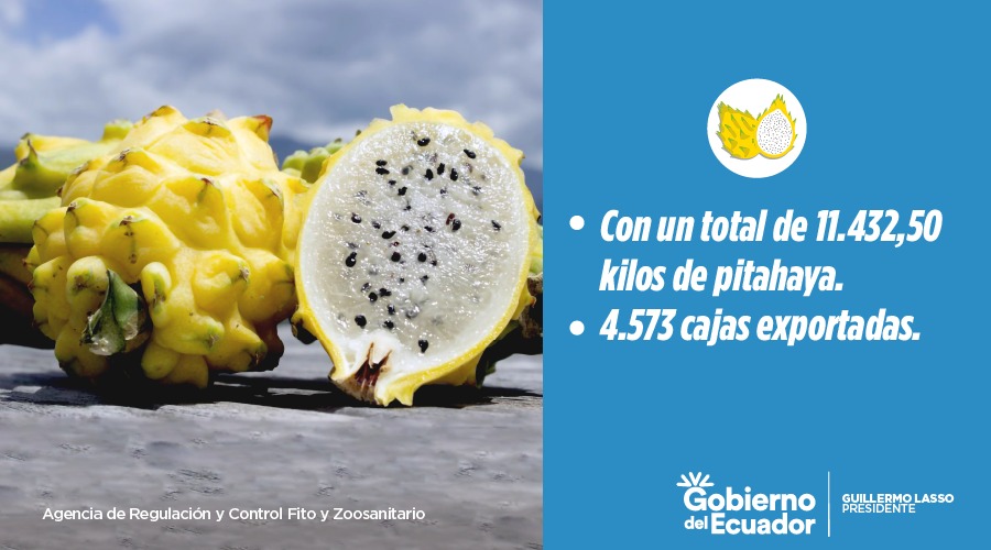 AgrocalidadEC's tweet photo. ¡Trabajamos para tener #MásEcuadorEnElMundo!

Más cargamentos de pitahaya  ecuatoriana llegan a China 🇨🇳 y se expenden con gran aceptación en mercados y perchas de ese país. https://t.co/2UxqVubDND