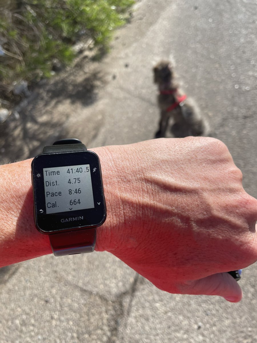 SapperNacho's tweet image. Nacho needs to get home to check the #BestSapperCompetition results

#McKelligonCanyonRun