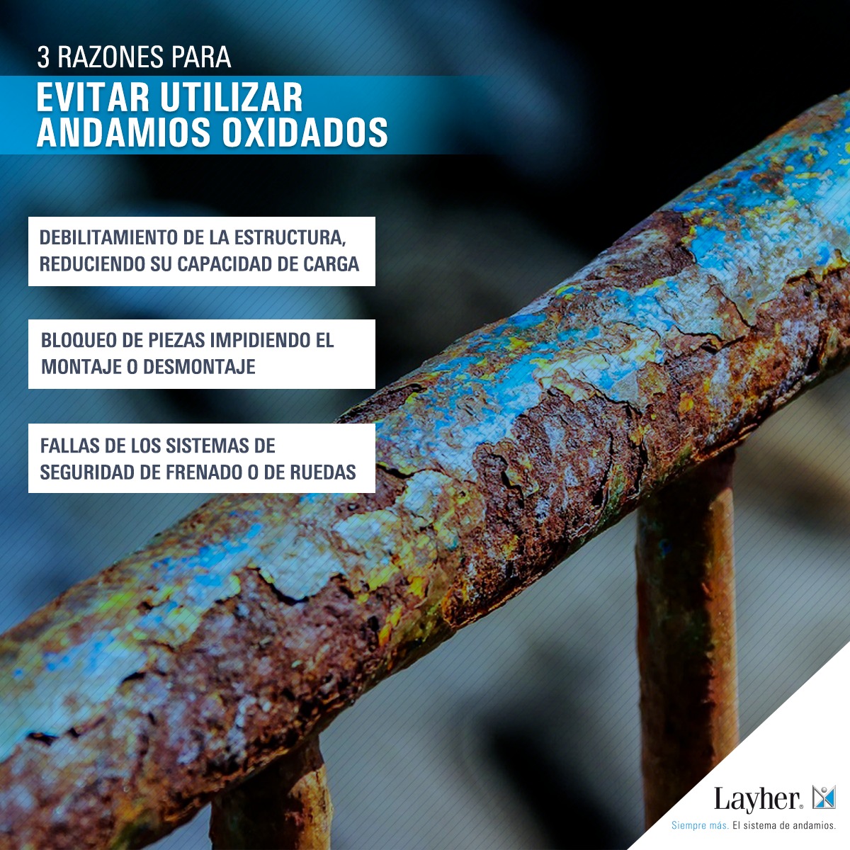LayherPeru's tweet photo. 🔵 #SemanaDeLaSeguridad | Nos preocupamos por el bienestar y la seguridad de todos los andamieros, por ello recomendamos trabajar con nuestros andamios homologados y certificados, garantizando la integridad de todos los trabajadores. #LayherPeru 🇵🇪 https://t.co/JbvL2CBwX0