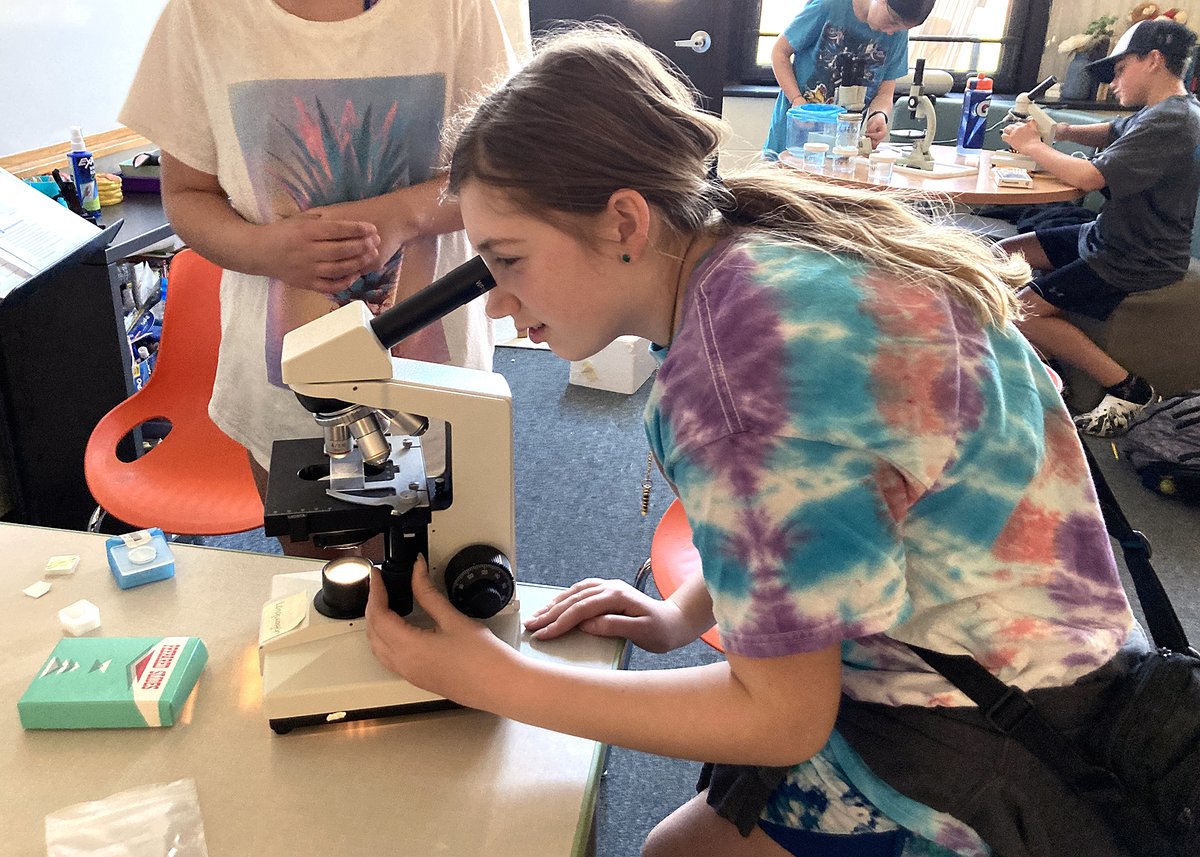 HiltonCSD's tweet photo. QE 6th graders have been working on their PYP Exhibition projects. Here, students study the Pacific Garbage Patch, learn about access to clean drinking water &amp; dissect a mammal brain comparing it to changes in a brain with dementia. Impressive! https://t.co/9mLkPHp4vv