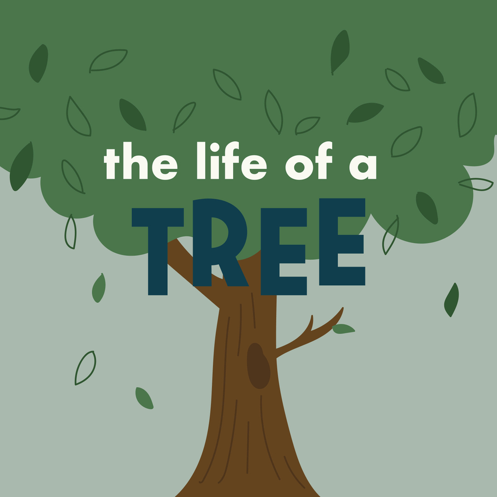 Like You tweet media