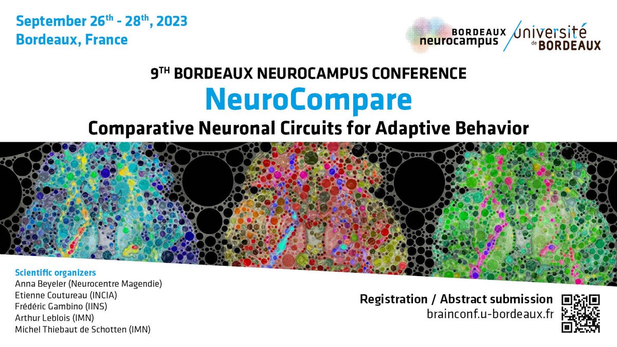 Neuro_Bordeaux's tweet photo. 📢Registrations are open for our next #brainconf, NeuroCompare (Comparative Neuronal Circuits for Adaptive Behaviour), September 26th-28th, 2023. 
❗️Early bird registration deadline: June 15th.
👉Registration and abstract submission: https://t.co/P560jpScfO https://t.co/LLAVIhE00f