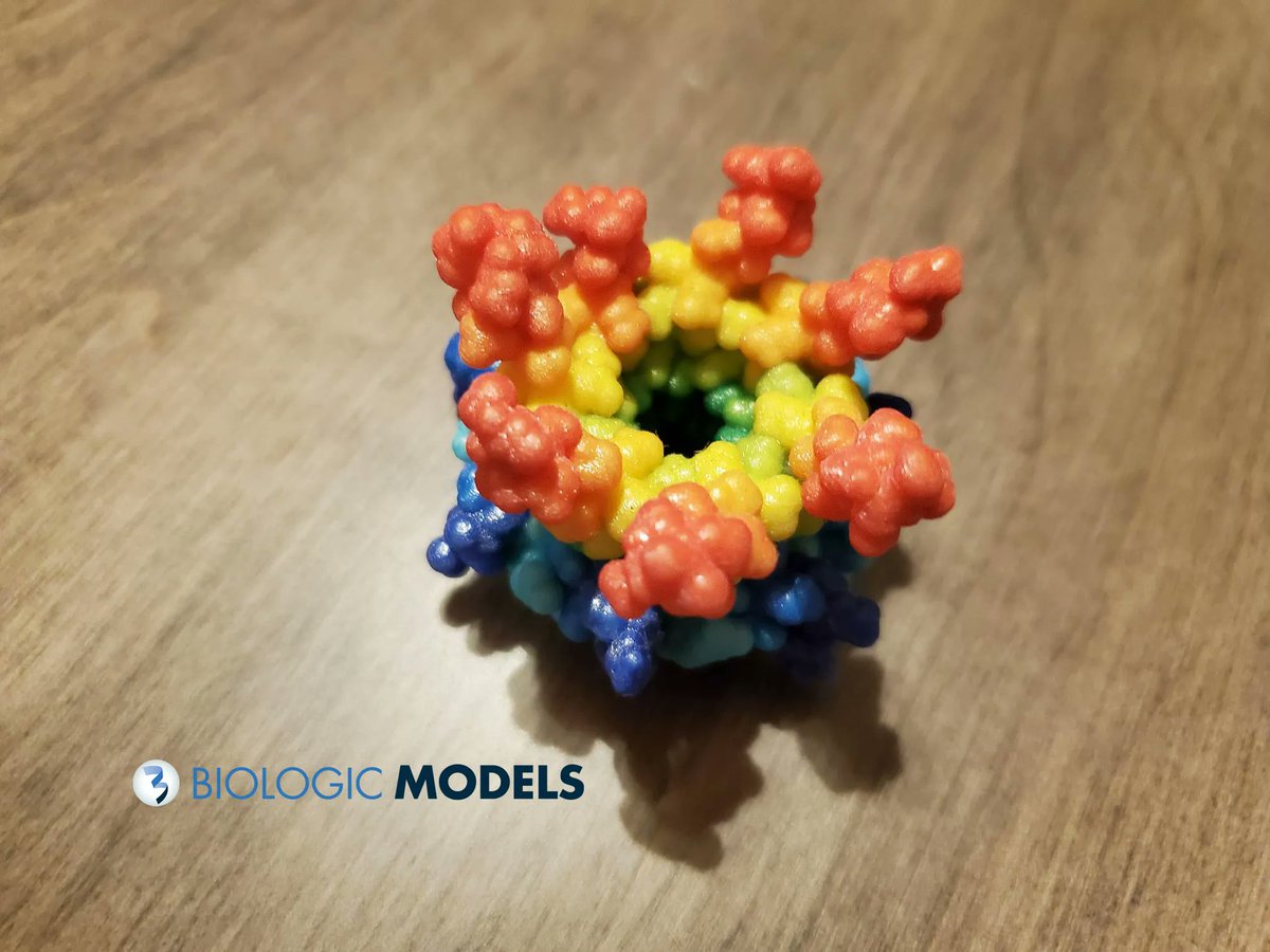 BiologicModels's tweet photo. I love helping research scientists celebrate the accomplishments of their Phd students. Here is Complement C4b-binding protein 4B0F, first line of defense against invading microorganisms. Send a #3DPrint request and create your own custom protein model. https://t.co/GjLl3MGZ02 https://t.co/FNSkk1WWjT