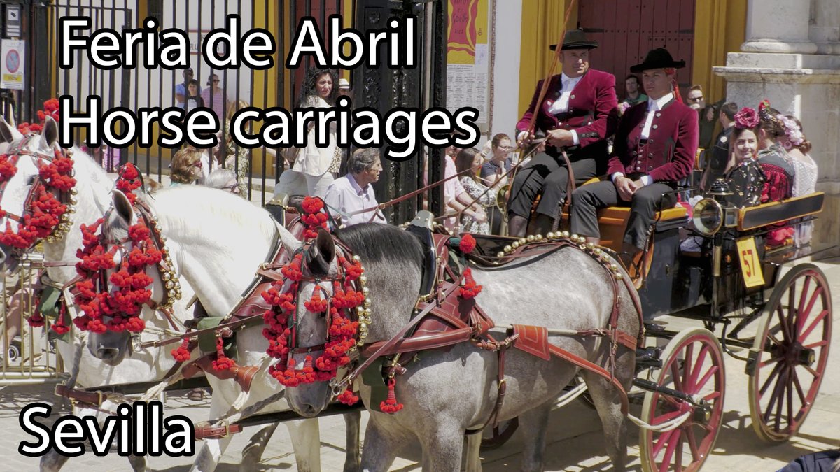 Watch the horse carriages at the April Festivitites in #Sevilla #Spain #FeriaSevilla23 #FeriaSevilla23
<a href="/Feria_deAbril/">Feria Abril Sevilla</a> #Feria #FeriadeAbril  #FeriadeAbril2023  #Seville

Watch the video here!
youtu.be/wFXZPYnSVos