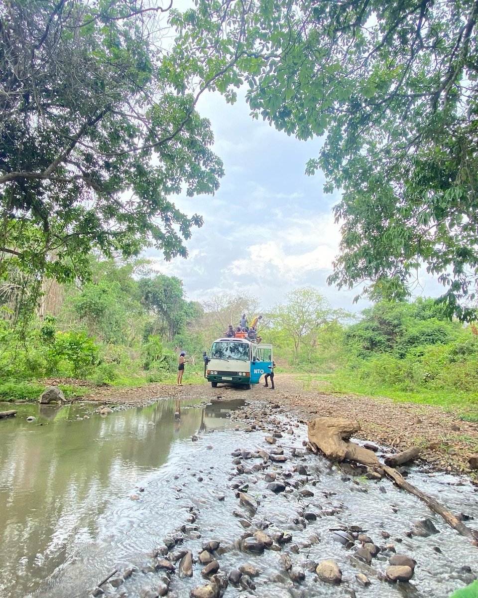 It’s that time of the year where we take a break from the city buzz and go far far away deep in the jungles of chebera churchura national park in search of finding our spirit animals 🐘🐘. 

Join our journey to the largest national park in Ethiopia, tinyurl.com/Tobiya