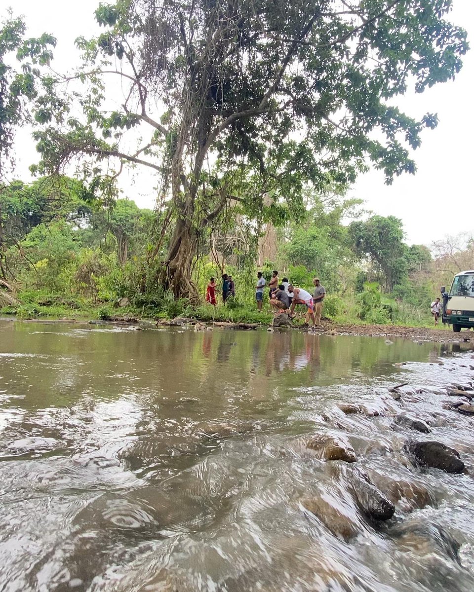 TobiyaHiking's tweet photo. It’s that time of the year where we take a break from the city buzz and go far far away deep in the jungles of chebera churchura national park in search of finding our spirit animals 🐘🐘. 

Join our journey to the largest national park in Ethiopia, https://t.co/RBm9xargEo https://t.co/LlB4tZfrLy
