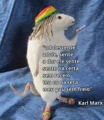 Shitpost só que de verdade (@shitpostverdade) on Twitter photo 