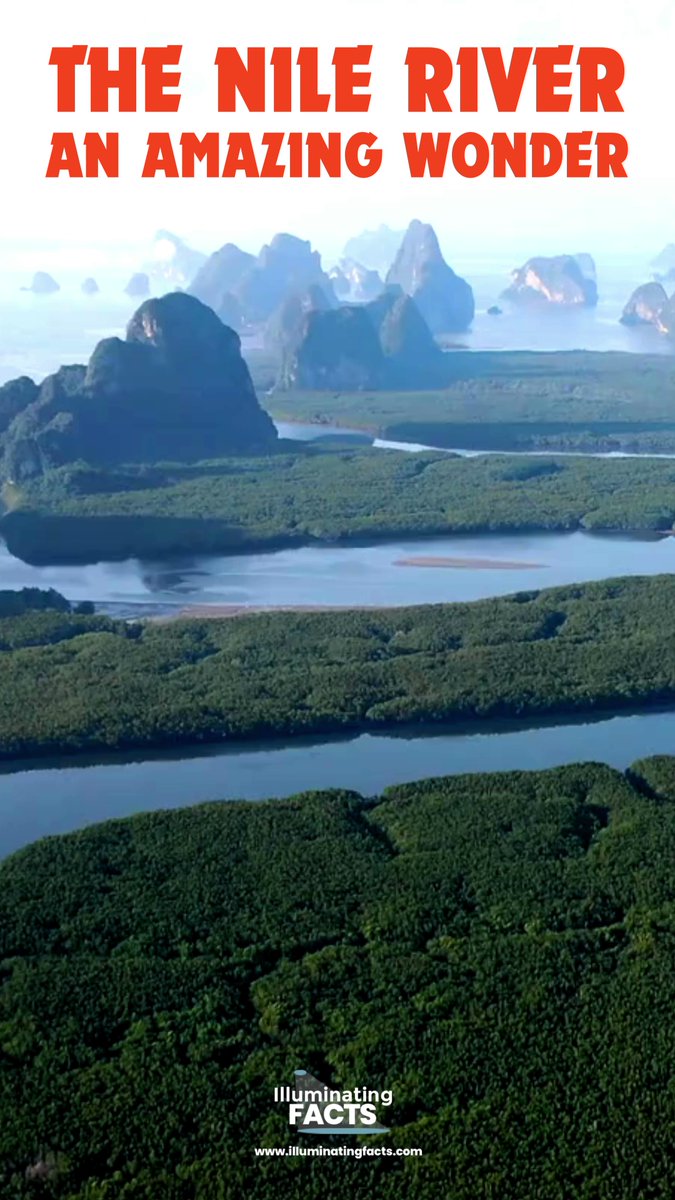 itsmrpopculture's tweet photo. The Nile River - An Amazing Wonder! Read more about the Nile here - https://t.co/I3g7dSA3Gu
#nile #nileriver #egypt #nilecommerce #ancientegypt #neilos #eastafrica #africa #lakevictoria #laketana #bluenile #whitenile #rednile #mediterranean #mediterraneanlife #mediterraneansea #akhet #peret #shemu #luxor #khartoum #abusimbel #aswan #cairo #alexandria #interestingfacts #illuminatingfacts