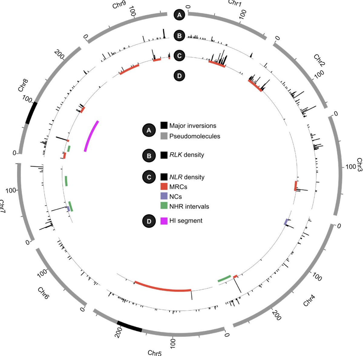 Now online @ThePlantJournal!, 'The genome of Lactuca saligna, a wild relative of lettuce, provides insight into non-host resistance to the downy mildew Bremia lactucae'. Great cowork by Wei Xiong and many others! @WURplant #cropwildrelatives #plantimmunity doi.org/10.1111/tpj.16…