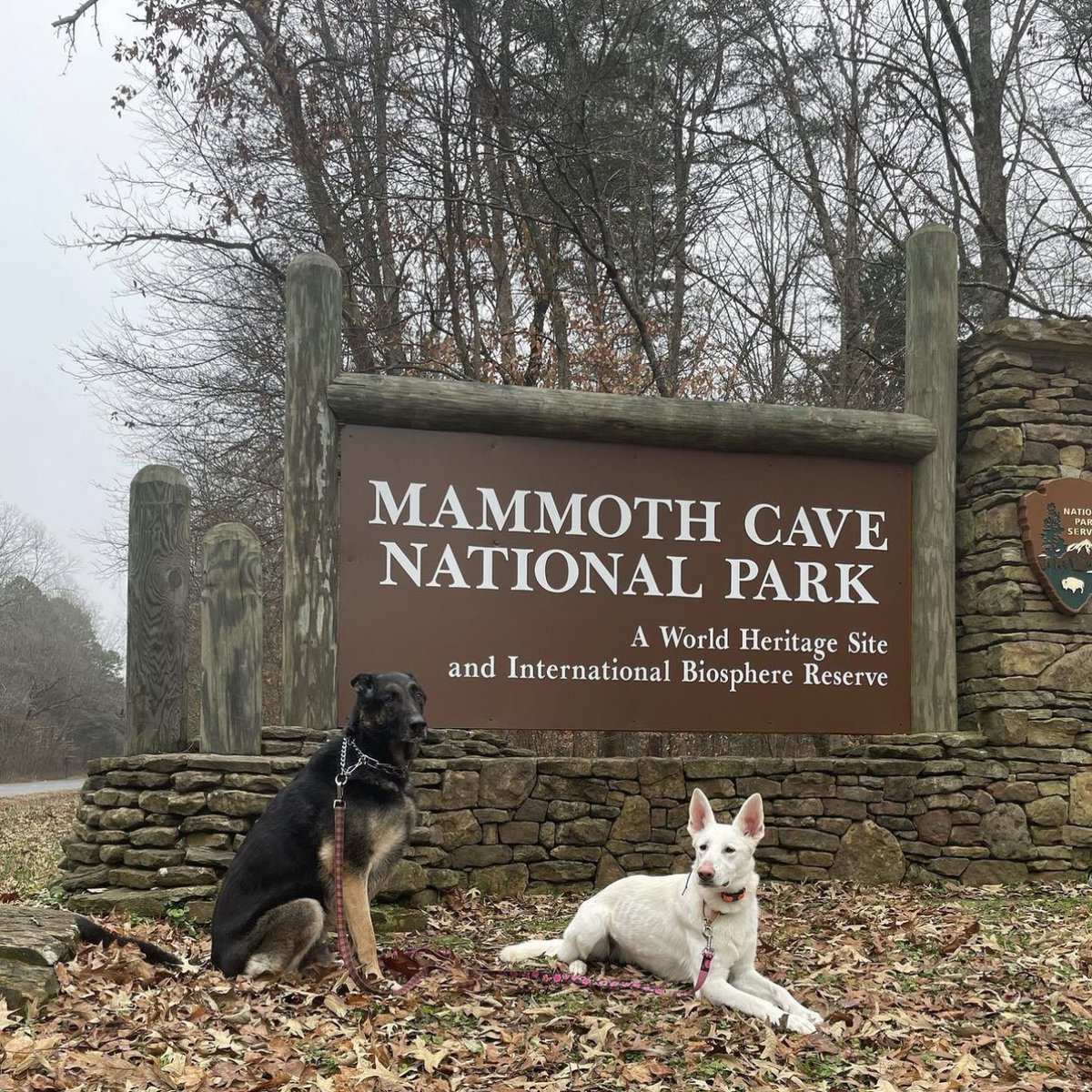 Kentucky Tourism tweet media