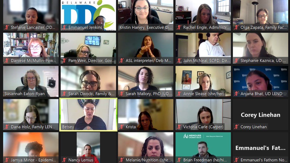 Delaware DD Council tweet media