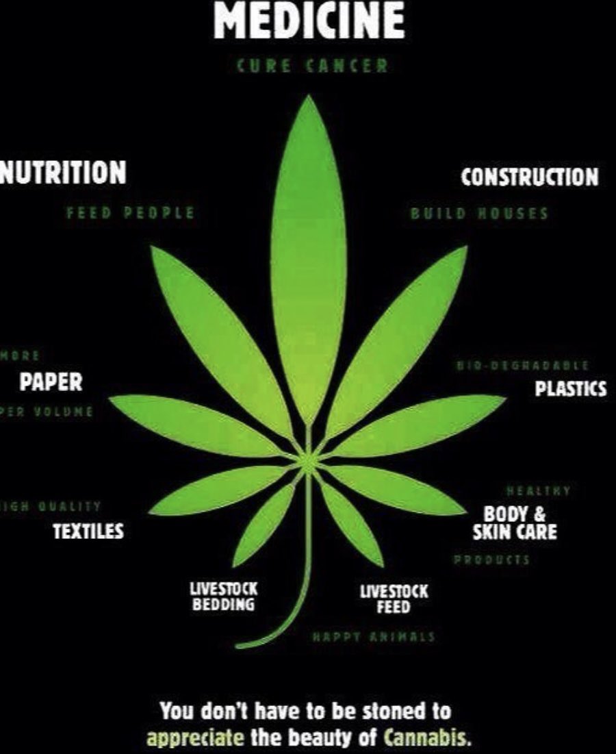 daviddinenberg's tweet photo. Can’t wait for the day when there are no roadblocks for research &amp; new discovery so we can find out the real power of #Cannabis ! #LegalizeIt #CannabisCommunity #Mmemberville #CBD #Hemp https://t.co/pvcbkVtHER
