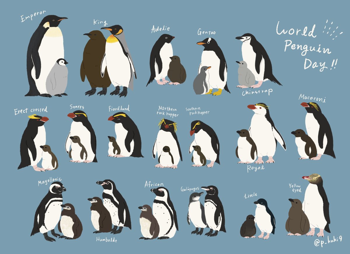 ペンギンたちの未来に想いを馳せて🐧
 #世界ペンギンの日
#WorldPenguinDay