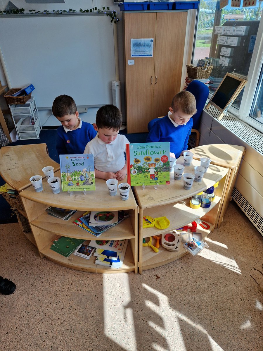 Larkspur Primary tweet media