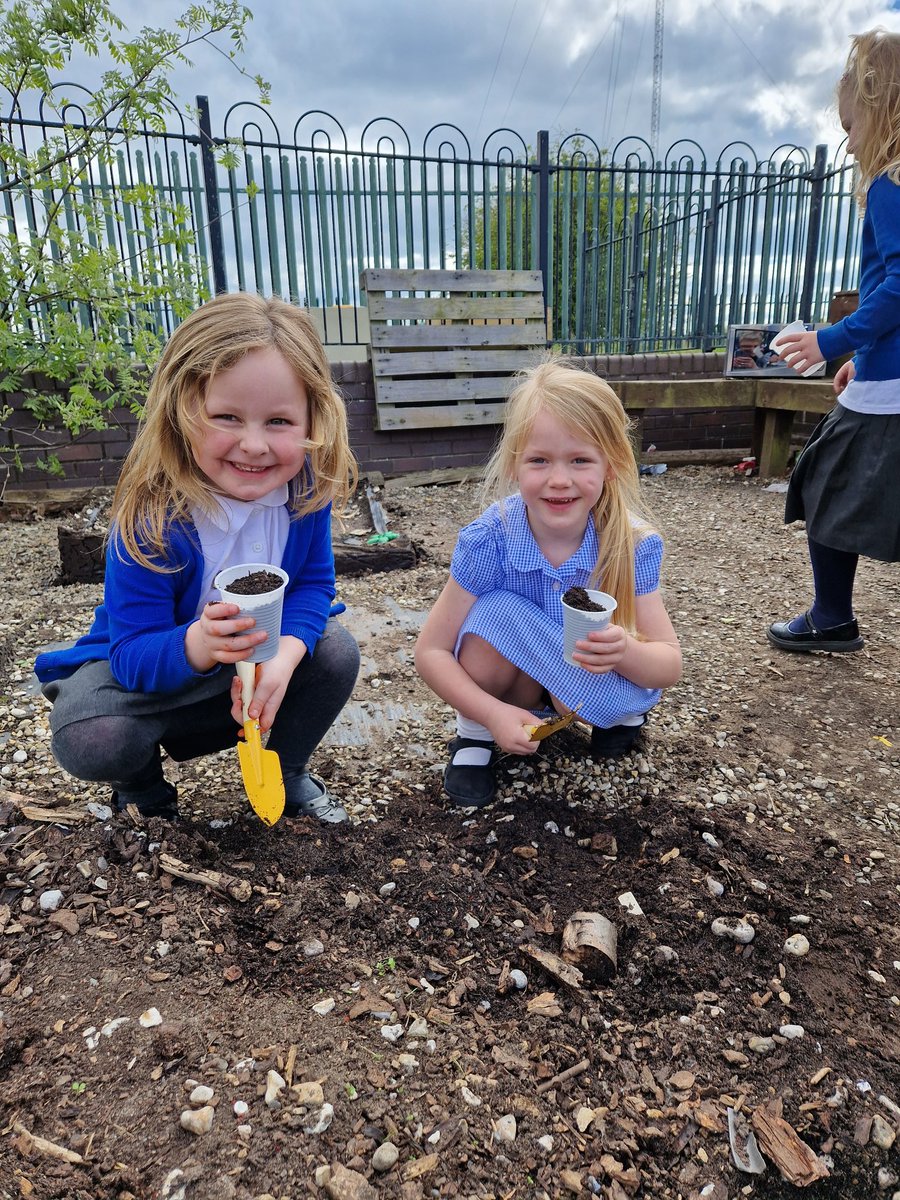 Larkspur Primary tweet media