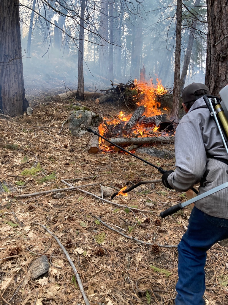 SNVAlliance's tweet photo. SNAP Spotlight💫

Jack Rohwer is a SNAP member working with Camp Tawonga as their Forestry Coordinator this year

Learn about SNAP here https://t.co/6DYaHFhrew

#sierranevadaalliance #americorps #camptawonga #recreation #education #servethesierra #SNAPspotlight #gettingthingsdone https://t.co/StM197IQIP