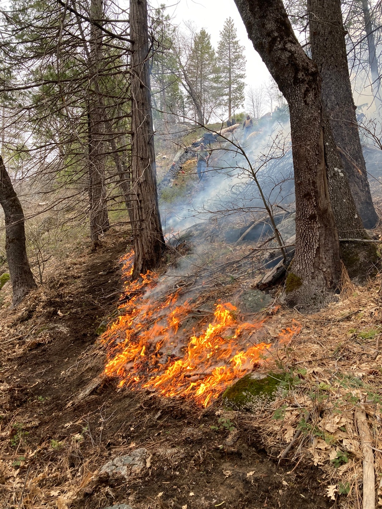 SNVAlliance's tweet photo. SNAP Spotlight💫

Jack Rohwer is a SNAP member working with Camp Tawonga as their Forestry Coordinator this year

Learn about SNAP here https://t.co/6DYaHFhrew

#sierranevadaalliance #americorps #camptawonga #recreation #education #servethesierra #SNAPspotlight #gettingthingsdone https://t.co/StM197IQIP