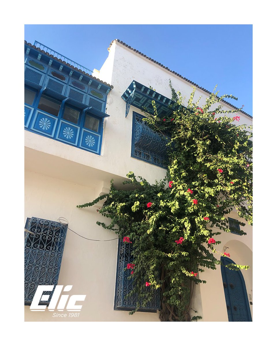 WeAreELIC's tweet image. Exploring the enchanting landscapes and cultural treasures of Tunisia with a team of amazing people is a breathtakingly beautiful and endlessly fun experience! DM us for summer trip opportunities!
.
.
.
#WeAreELIC #teaching #beautiful #team #english