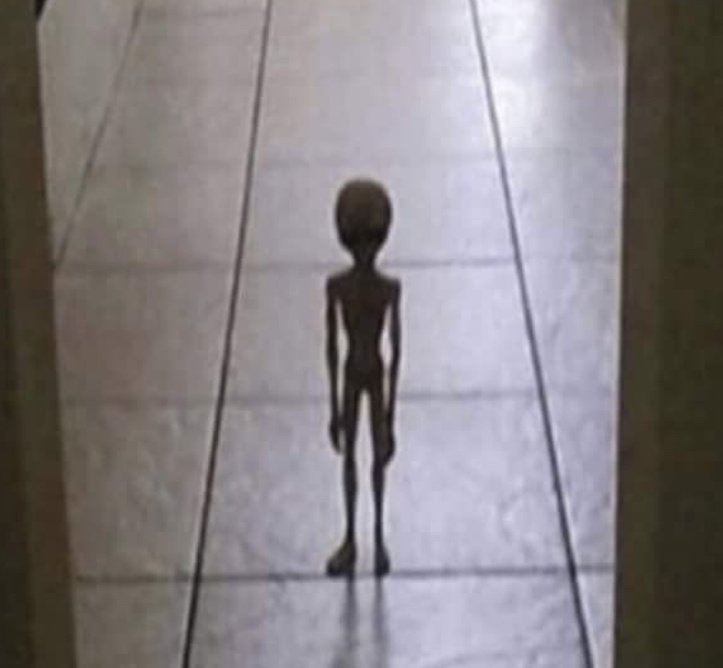 Solqui_'s tweet image. fui a hacer un trámite sola DOS VECES hoy y tuve inconvenientes así q tuvo q ir mi viejo a ponerse a gritar para q me den pelota sfjsjdj y yo así