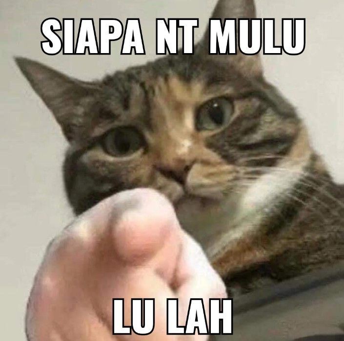 androidwk's tweet image. tlong bgt @kyimjennies