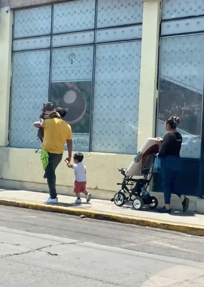 OcoyucanInforma's tweet photo. #Ocoyucan #Informa 

#GranDilema #Viral 

#Viral | PADRE LLEVA A SU PERRO EN BRAZOS MIENTRAS SU HIJO CAMINA A SU LADO Y LE LLUEVEN CRÍTICAS

Un hombre fue captado llevando a su perrito cargado, mientras que su hijo caminaba a su lado, lo que desató críticas. https://t.co/S2IfFK2WGp